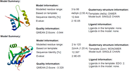 Predicted Protein Structures using SwissModel