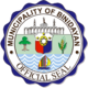 Official seal of Binidayan