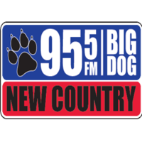 Big Dog 95.5 logo