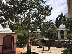 Banyan tree at Hindu Union of Mombasa.