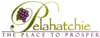 Official logo of Pelahatchie, Mississippi