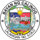 Official seal of Calinog