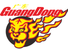 Guangdong Southern Tigers logo