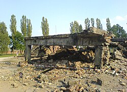 One of the destroyed gas chambers at Birkenau (I believe they were dynamited just before the Russians arrived)