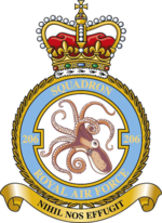 Squadron badge