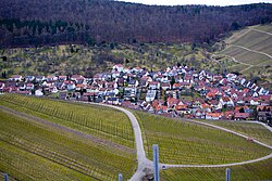 View of one district, with vineyards in the foreground