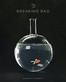 Poster for the episode featuring a fish swimming inside a boiling flask.