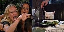 Two photographs next to each other. On the left, a blonde woman angrily screaming and pointing to the picture's right. On the right, a white cat sitting in a chair in front of a plate of vegetables on a table, looking to the picture's left with a confused expression.