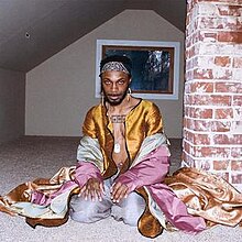 An edited photograph of JPEGMafia kneeling down on the floor in a golden, gray and pink curtain-like clothing. Behind him is a brick pillar and, in the background, a closed window. A small black cursor can be seen in the top left.