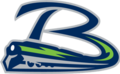 Bloomington Thunder alternate logo