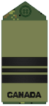 CADPAT uniform (old insignia)