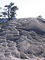 Unusual glacier polish features observed near Second Peak.