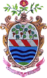 Coat of arms of Trevignano Romano