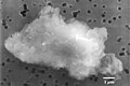 Image 67Smooth chondrite interplanetary dust particle. (from Cosmic dust)