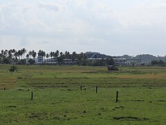 Bicol International Airport field view