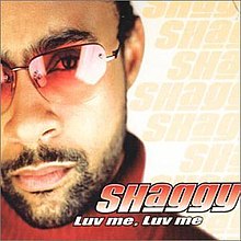 A close-up of Shaggy's face is shown with the song and artist labeled on the bottom right corner.