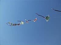 Train of connected kites