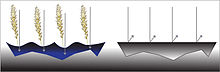 "desertification diagram"