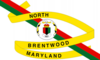 Flag of North Brentwood, Maryland