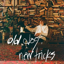 A boy sits with a dog in a library.