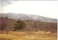 Elliott Knob in winter