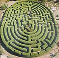 Wandiligong Maze