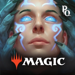 File:Magic Puzzle Quest cover.webp