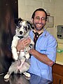 Border Collie pup at veterinarian