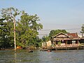 Bangkok's canals