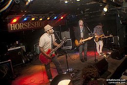 The Organ Thieves perform at the Horseshoe Tavern in October 2009