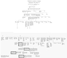 Family Tree of the Arundells of Trerice.
