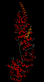 5/07 structure of protein TCF7L2, PDB 2GL7 made with KiNG