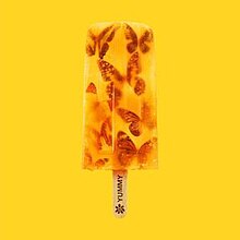 An image of an ice lolly with butterflies in it