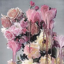 Cover art that displays flowers