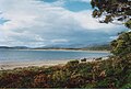 The beach is surrounded by native Australian plants for its entire 5 kilometre span.