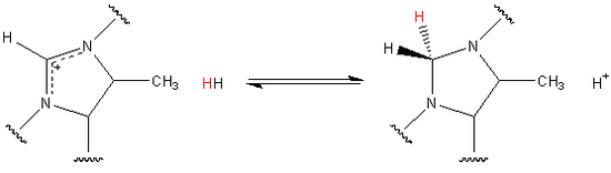 Hmd Catalyzed Reaction