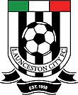 Launceston City's club crest from 2008 to 2018.
