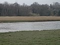 River Nanny at Sonairte Environmental Center, between Julianstown and Laytown