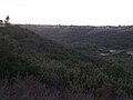 One of several canyons in central Chula Vista which mark the geography of the area