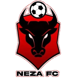 File:Neza fc logo.webp