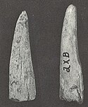 Antler projectile points