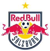 Club crest since 2007 (star added in 2019 to designate ten Bundesliga titles)