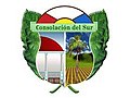 Coat of arms of Consolacion del Sur Municipality Municipio de Consolacion del Sur