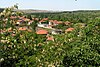 Village of Petrevene