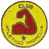 Second badge (1981–1984)