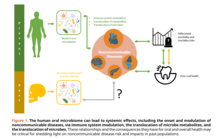 Graphic Showing Systemic Effects of Human Oral Microbiome