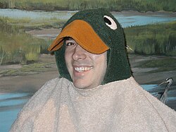 Masquerading as a duck at the Seattle Aquarium