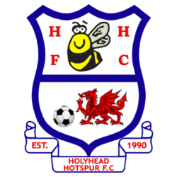 Holyhead Hotspur Badge