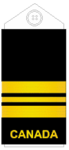 Uniform shirts (old insignia)