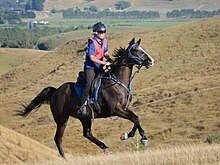 A woman wearing a pink jersey and a blue helmet riding on a brown horse on a grassy hill.